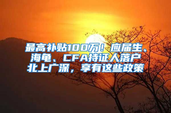 最高补贴100万！应届生、海龟、CFA持证人落户北上广深，享有这些政策