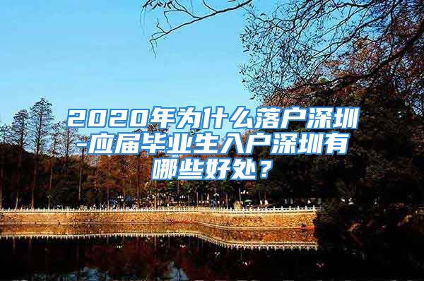 2020年为什么落户深圳-应届毕业生入户深圳有哪些好处？