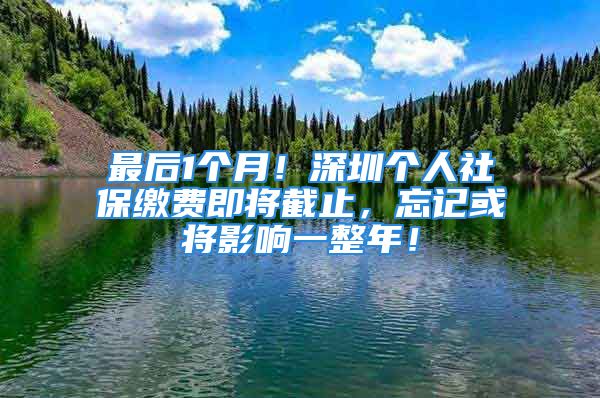 最后1个月！深圳个人社保缴费即将截止，忘记或将影响一整年！