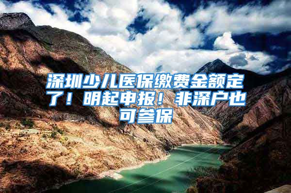 深圳少儿医保缴费金额定了！明起申报！非深户也可参保