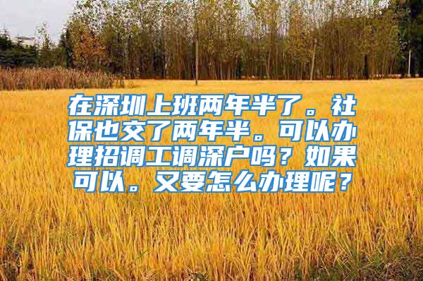 在深圳上班两年半了。社保也交了两年半。可以办理招调工调深户吗？如果可以。又要怎么办理呢？