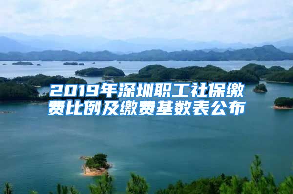 2019年深圳职工社保缴费比例及缴费基数表公布