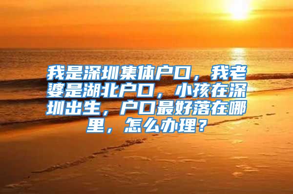 我是深圳集体户口，我老婆是湖北户口，小孩在深圳出生，户口最好落在哪里，怎么办理？