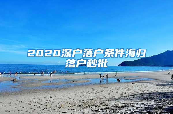 2020深户落户条件海归落户秒批