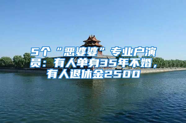 5个“恶婆婆”专业户演员：有人单身35年不婚，有人退休金2500