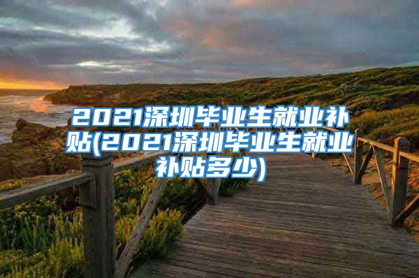 2021深圳毕业生就业补贴(2021深圳毕业生就业补贴多少)