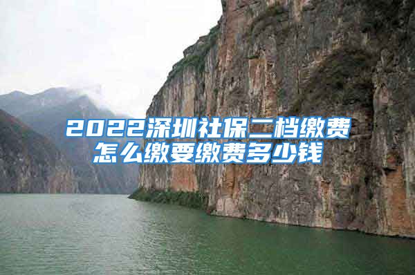 2022深圳社保二档缴费怎么缴要缴费多少钱