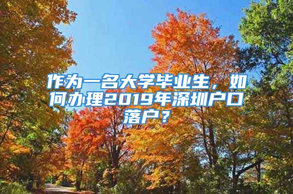 作为一名大学毕业生，如何办理2019年深圳户口落户？