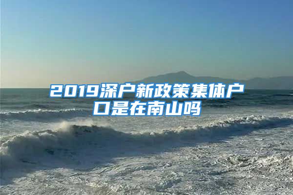 2019深户新政策集体户口是在南山吗