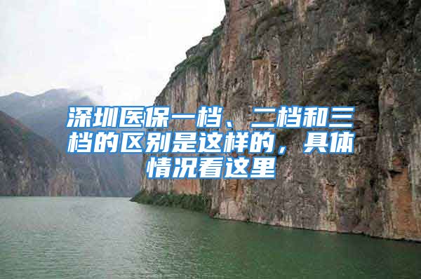 深圳医保一档、二档和三档的区别是这样的，具体情况看这里