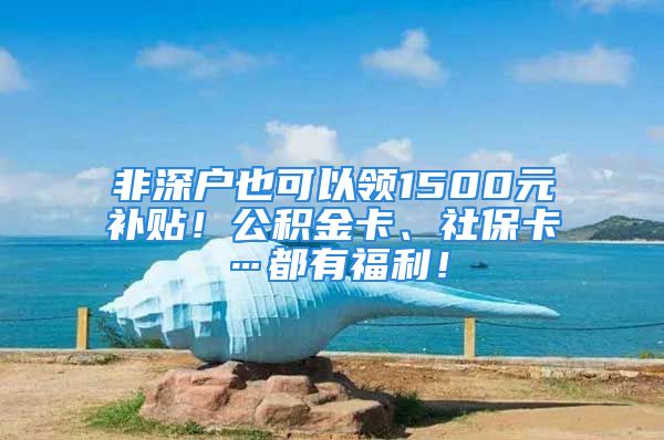 非深户也可以领1500元补贴！公积金卡、社保卡…都有福利！