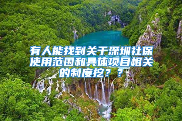 有人能找到关于深圳社保使用范围和具体项目相关的制度挖？？