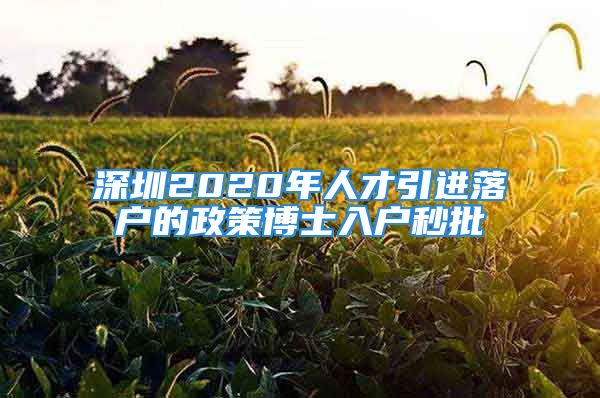 深圳2020年人才引进落户的政策博士入户秒批