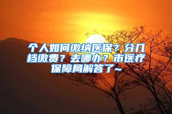 个人如何缴纳医保？分几档缴费？去哪办？市医疗保障局解答了~