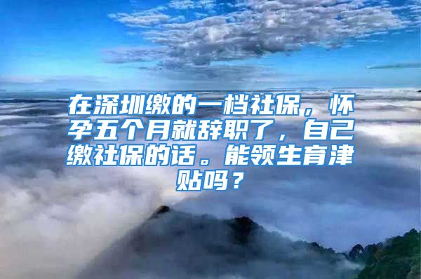 在深圳缴的一档社保，怀孕五个月就辞职了，自己缴社保的话。能领生育津贴吗？