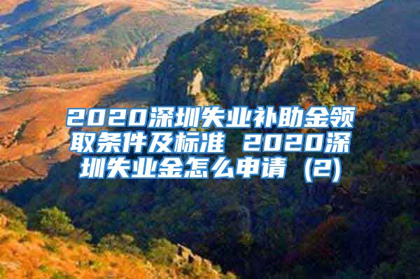 2020深圳失业补助金领取条件及标准 2020深圳失业金怎么申请 (2)