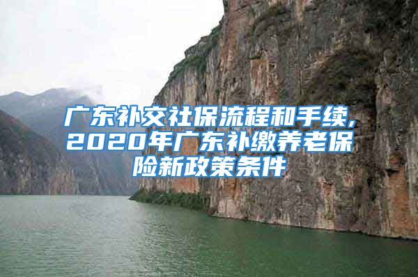 广东补交社保流程和手续,2020年广东补缴养老保险新政策条件