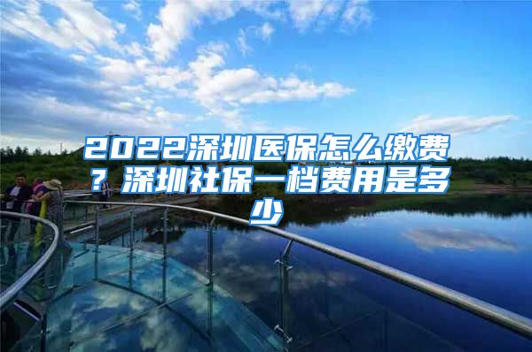 2022深圳医保怎么缴费？深圳社保一档费用是多少