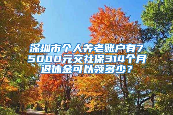 深圳市个人养老账户有75000元交社保314个月退休金可以领多少？