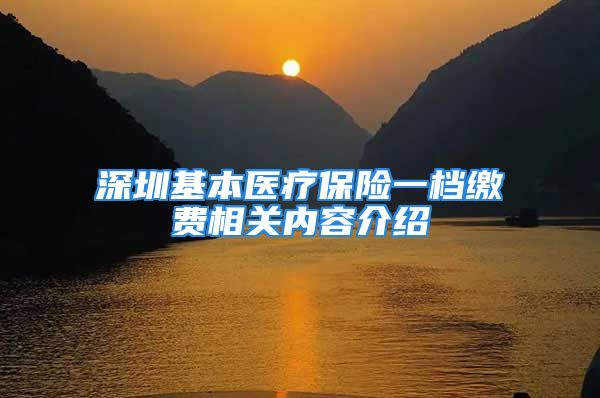 深圳基本医疗保险一档缴费相关内容介绍