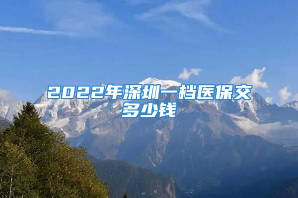 2022年深圳一档医保交多少钱