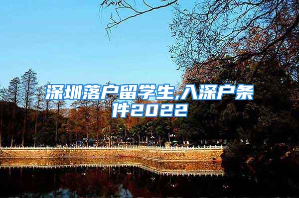 深圳落户留学生,入深户条件2022