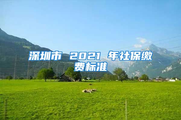 深圳市 2021 年社保缴费标准