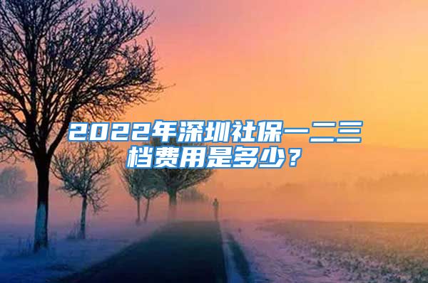 2022年深圳社保一二三档费用是多少？