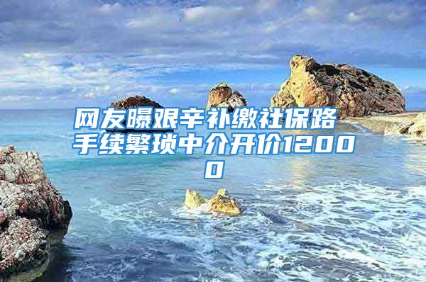 网友曝艰辛补缴社保路 手续繁琐中介开价12000