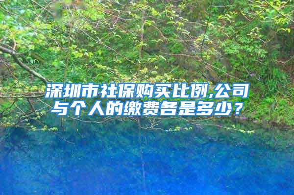 深圳市社保购买比例,公司与个人的缴费各是多少？