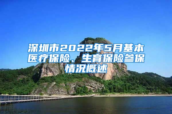 深圳市2022年5月基本医疗保险、生育保险参保情况概述