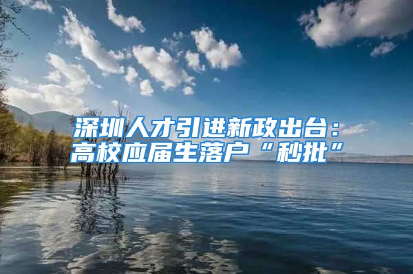 深圳人才引进新政出台：高校应届生落户“秒批”