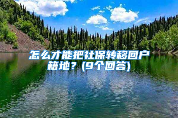 怎么才能把社保转移回户籍地？(9个回答)