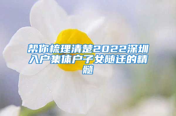 帮你梳理清楚2022深圳入户集体户子女随迁的精髓