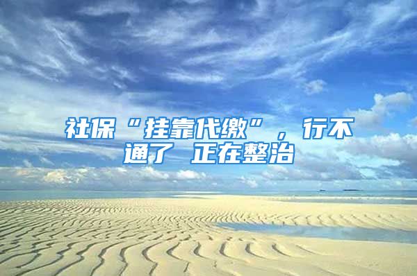 社保“挂靠代缴”，行不通了 正在整治