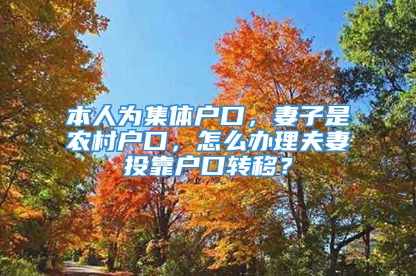 本人为集体户口，妻子是农村户口，怎么办理夫妻投靠户口转移？