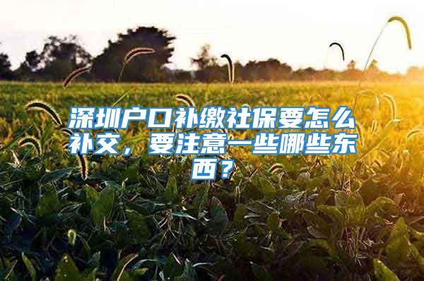 深圳户口补缴社保要怎么补交，要注意一些哪些东西？