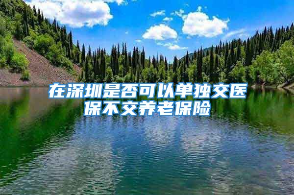 在深圳是否可以单独交医保不交养老保险