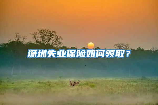 深圳失业保险如何领取？