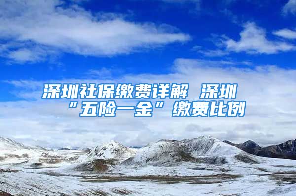 深圳社保缴费详解 深圳“五险一金”缴费比例