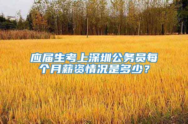 应届生考上深圳公务员每个月薪资情况是多少？