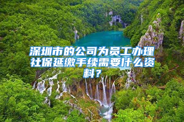 深圳市的公司为员工办理社保延缴手续需要什么资料？