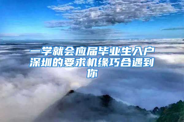 一学就会应届毕业生入户深圳的要求机缘巧合遇到你