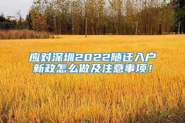 应对深圳2022随迁入户新政怎么做及注意事项！