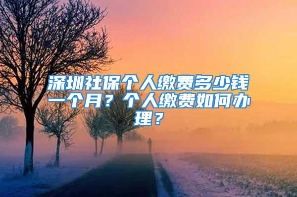 深圳社保个人缴费多少钱一个月？个人缴费如何办理？