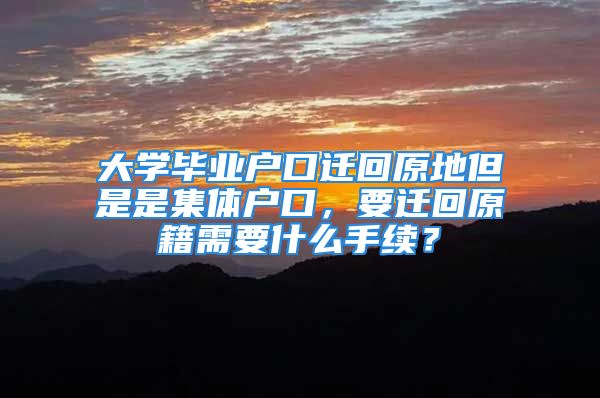 大学毕业户口迁回原地但是是集体户口，要迁回原籍需要什么手续？