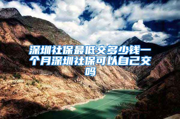 深圳社保最低交多少钱一个月深圳社保可以自己交吗