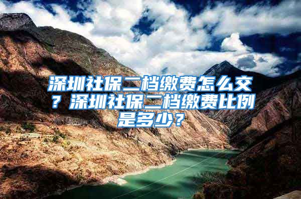 深圳社保二档缴费怎么交？深圳社保二档缴费比例是多少？