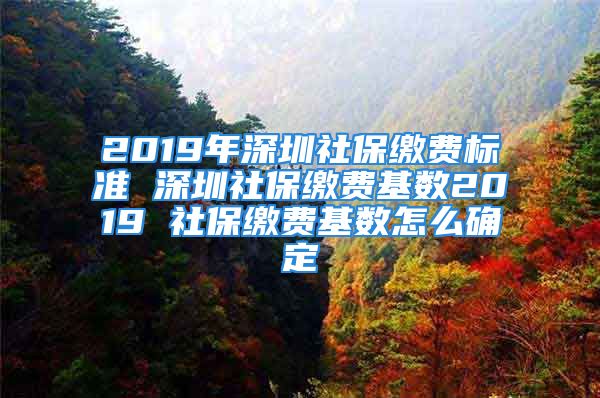 2019年深圳社保缴费标准 深圳社保缴费基数2019 社保缴费基数怎么确定