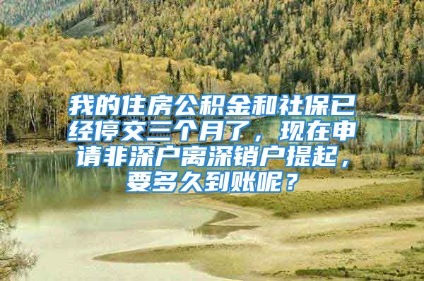 我的住房公积金和社保已经停交三个月了，现在申请非深户离深销户提起，要多久到账呢？